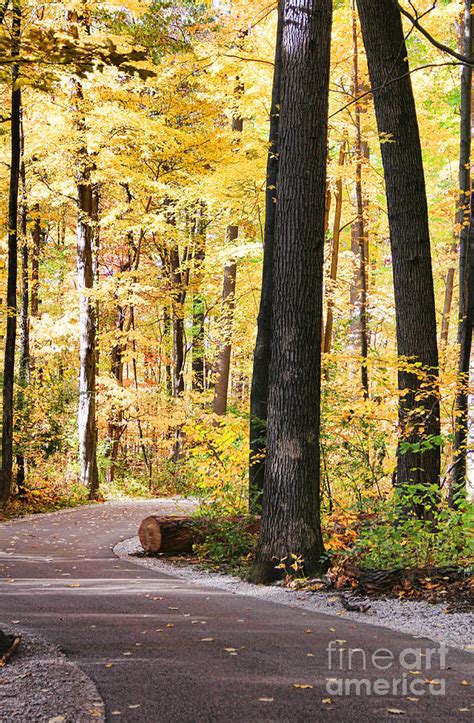 Autumn Path Photograph By Jack Schultz Fine Art America