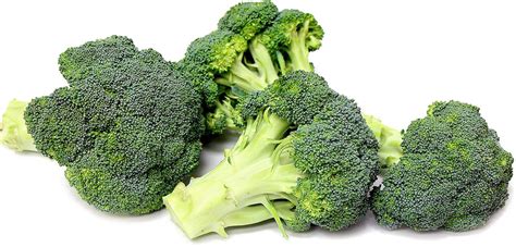 Broccoli Png Images Transparent Free Download