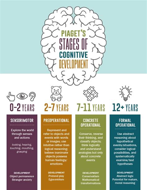 Piagets Four Stages Of Cognitive Development Infographic Graphic