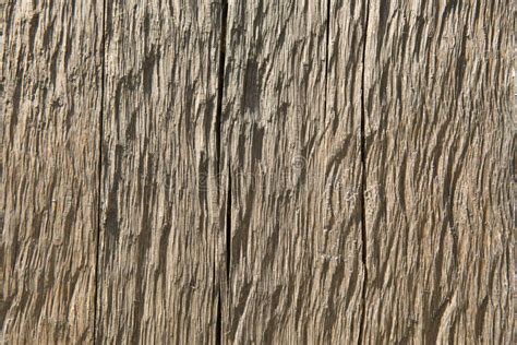Dry Wood Texture Stock Image Image Of Surface Weathered 109465117