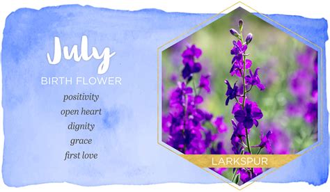 Birth Month Flowers Chart The Complete Guide About Birth Flowers