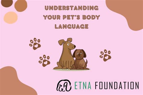 Understanding Your Pets Body Language Etna Foundation