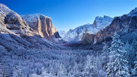 자연 풍경 산 하늘 겨울 나무 숲 맑은 하늘 눈 덮인 산 눈 요세미티 국립 공원 계곡 캘리포니아 미국