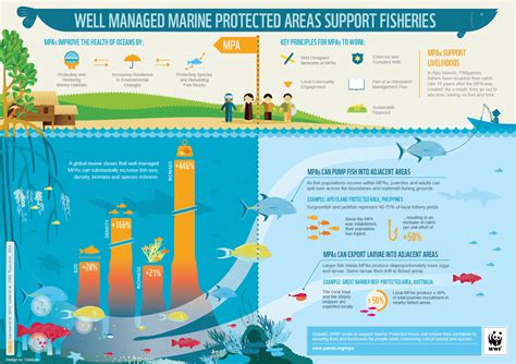 Marine Protected Areas Smart Investments In Ocean Health And People In