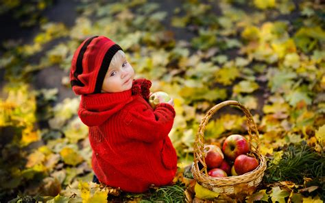 Baby Boy Collecting Apples Hd Wallpaper Background Image 1920x1200