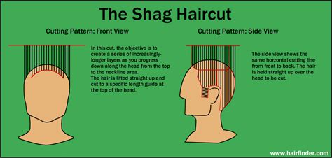 A Dummies Guide To Cutting A Shag Style Haircut Book Best Haircut 2020