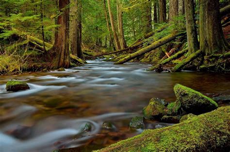 Panther Creek Wa In The Ford Pinchot National Forest Flickr