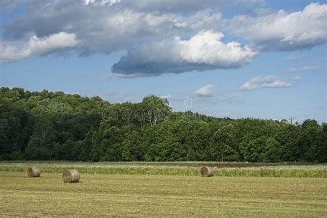 Hay Pasture Near Bloomington Indiana Stock Photo Image Of Bloomington