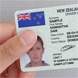 Pictures of New Zealand Drivers License Renewal