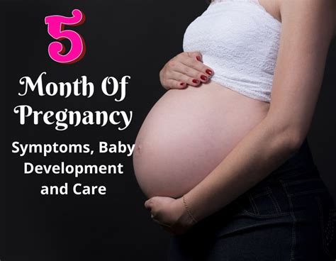 5th Month Of Pregnancy Care Symtoms Baby Development Blessedmom