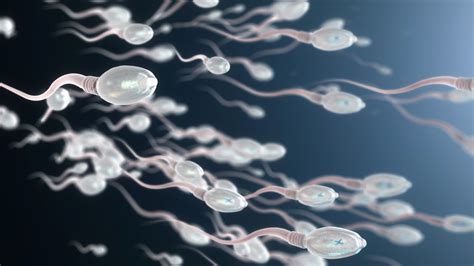 Le Sperme Tous Les Bienfaits Du Sperme Sur La Santé