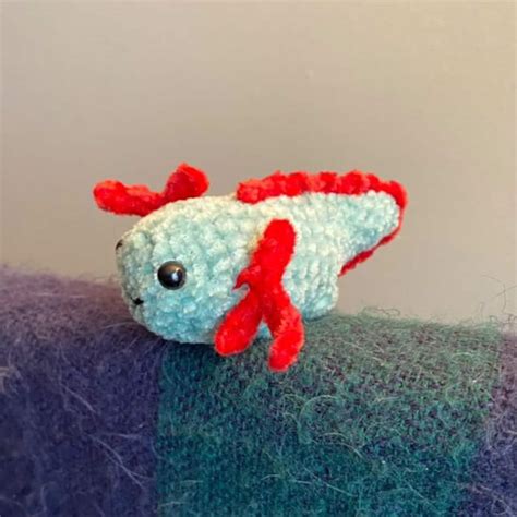 Mini No Sew Axolotl Crochet Pattern Etsy Canada