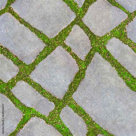 Seamless Texture Of Green Grass Between The Road Tiles Green Grass Grow Between The Tiles Of