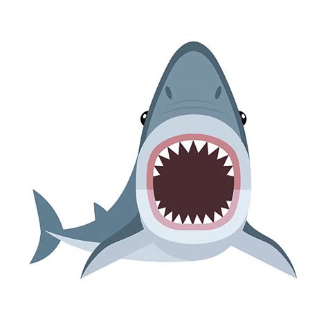 Shark With Open Mouth Clip Art