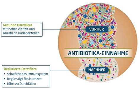 Maybe you would like to learn more about one of these? Immunsystem Stärken Nach Antibiotika Einnahme - Captions ...