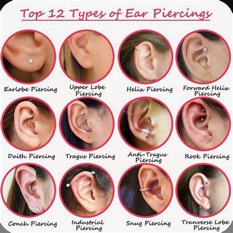 Emma Bevan On Instagram “top 12 Types Of Ear Piercings Brecon Breconbeacons Serenity Beauty