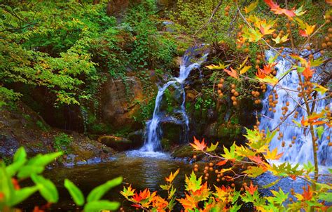 Wallpaper Waterfall Autumn Leaves Stones Fall Autumn Waterfall