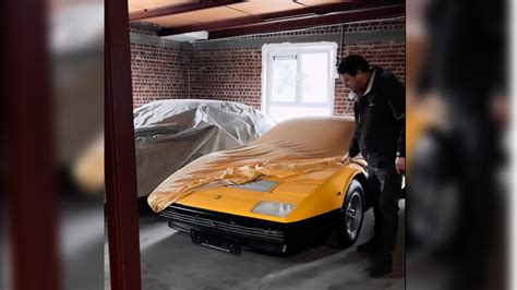 Unveiling the Vault: Rare Ferraris and Porsches Emerge from a Decade in