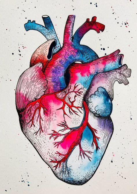 30 Ideas De Corazon Real Corazon Real Arte De Anatomía Arte De Corazón