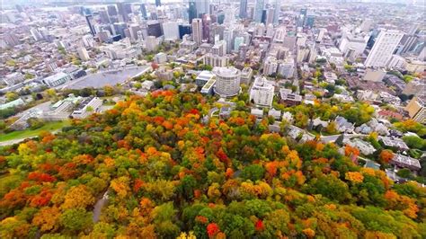 Aerial view Mount Royal Park (Mont-Royal) - Montreal (Quebec) - Canada ...
