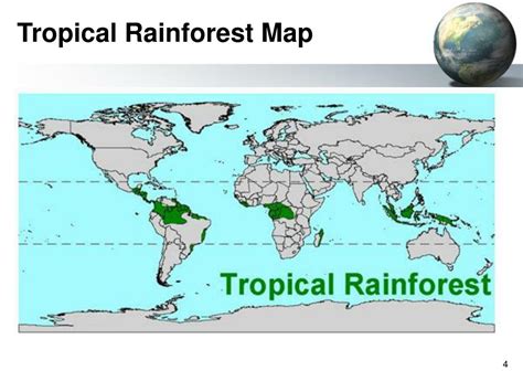 Map Showing Location Of Tropical Rainforests Brazil And The Worlds