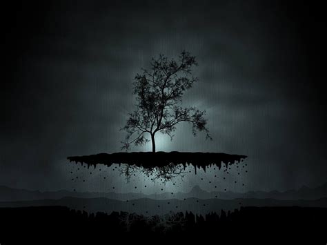 22 Dark Tree Wallpapers Wallpapersafari