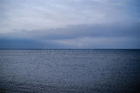 Empty Sea Beach In Autumn With Some Bushes And Dry Grass Stock Image