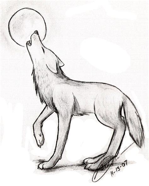 Find Some Pencil Drawings Of Wolves Along With An Outline For Practice