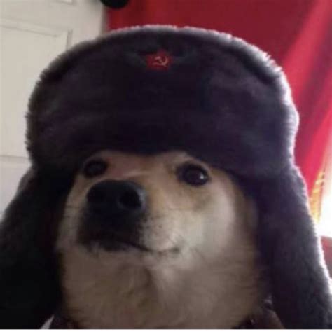 Comrade Doggo Youtube