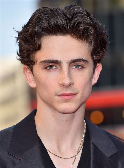 Timothée Chalamets Hair Is Evolving Faster Than His Career Timothee
