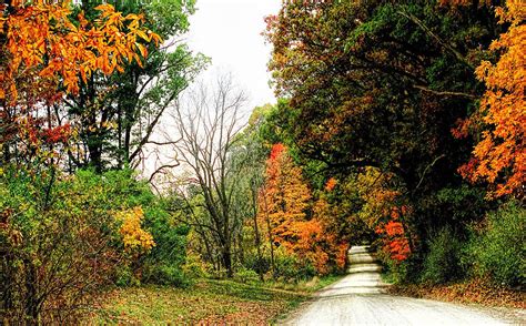 Autumn On The Dirt Roads Photograph By Pat Cook Fine Art America