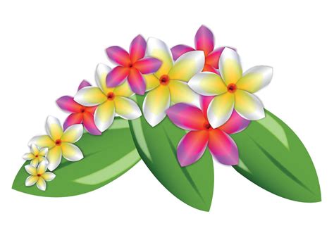 Plumeria Vector Flowers Download Free Vector Art Stock Graphics And Images