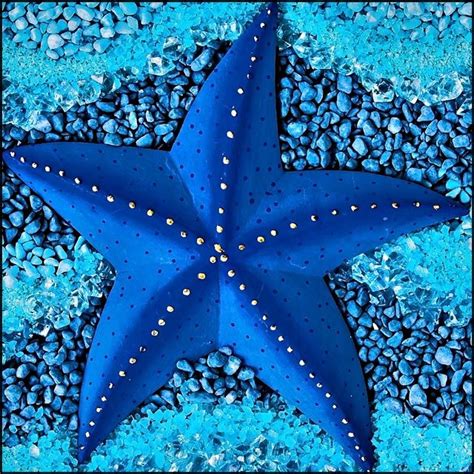 The 25 Best Starfish Ideas On Pinterest