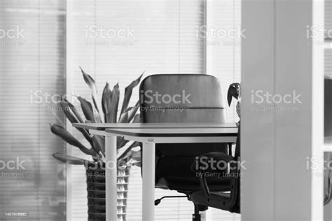 Modern Office Interior With Armchair And Desk Stock Photo Download