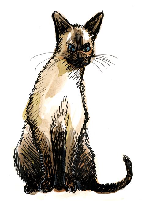 Free Siamese Cat Clipart Download Free Siamese Cat Clipart Png Images