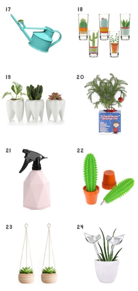 Search plants for birthday gifts. 32 Gifts for the Plant Lover in Your Life - Clever Bloom