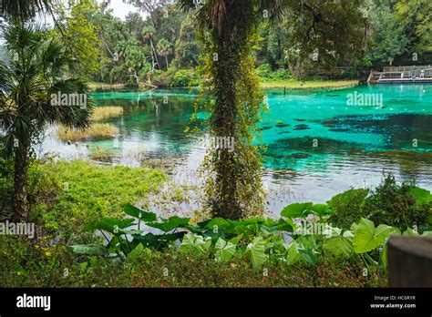 Rainbow Springs State Park In Dunnellon Florida Headwaters Of The