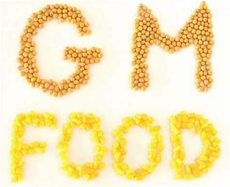 Gmo Alert Top 10 Genetically Modified Foods To Avoid Eating Guiding