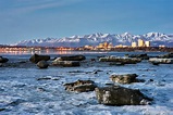 Anchorage, Alaska seen from Earthquake Park. [OC] : CityPorn