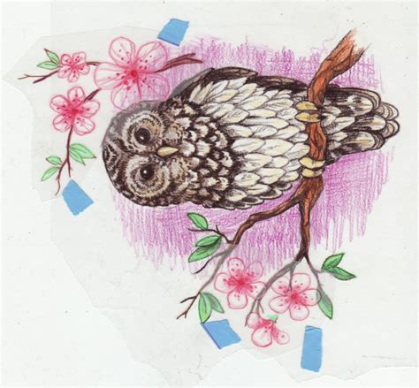 Owl Tattoo Designs Ideas Photos Images Pictures ~ Women