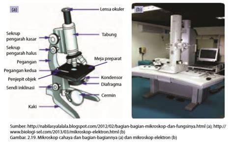 Cara Menggunakan Mikroskop Cahaya Dan Stereo Pdf Mrlasopa
