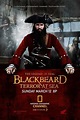 Blackbeard (TV Series 2006-2006) - Posters — The Movie Database (TMDB)