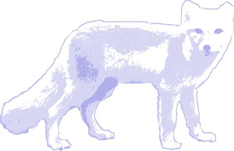 Arctic Fox Icons Png Free Png And Icons Downloads