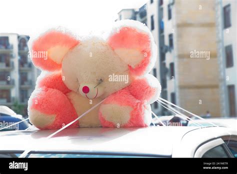 Cute Teddy Bear Sitting On Panoramic Hi Res Stock Photography And