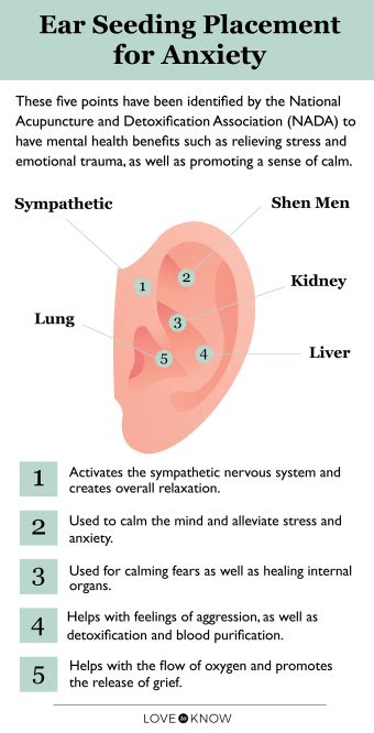 How To Use Ear Seeds For Anxiety With Placement Chart Lovetoknow