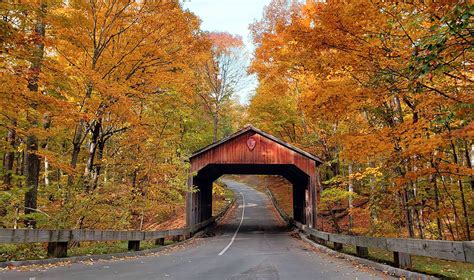 14 Scenic Fall Foliage Tours In Michigan — Seen Magazine