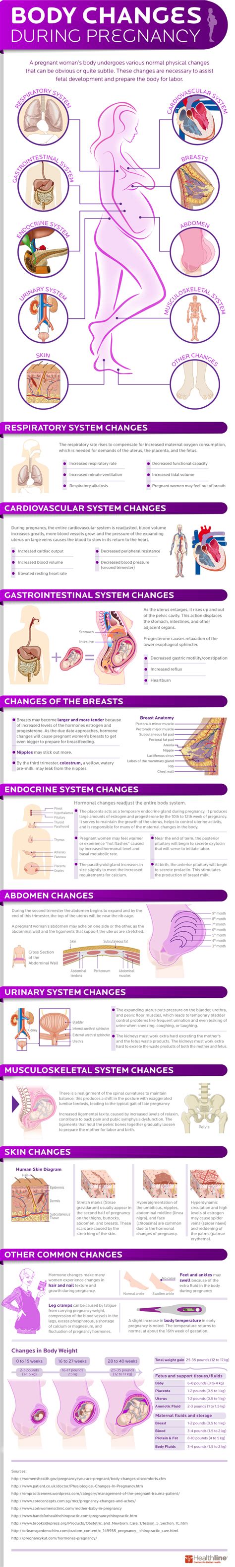 What Really Happens Physically To A Woman S Body When She S Pregnant We Explain Infographic