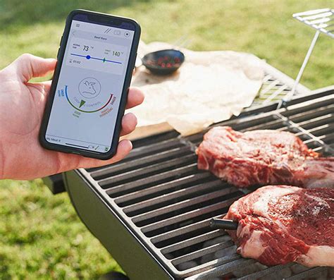 Intelligent Meal Tracking Thermometers Mastrad Meat