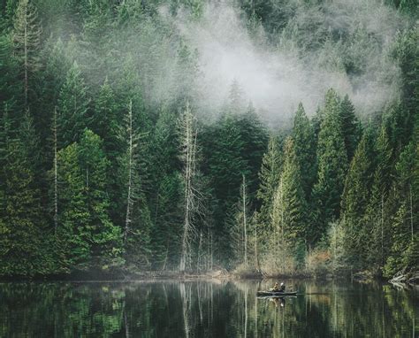 5 Facts About Bcs Unique Temperate Rainforest Super Natural Bc