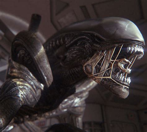 Welcome to the official alien facebook page. Aliens - Xenomorphs - Species Profile - Movies, comics ...